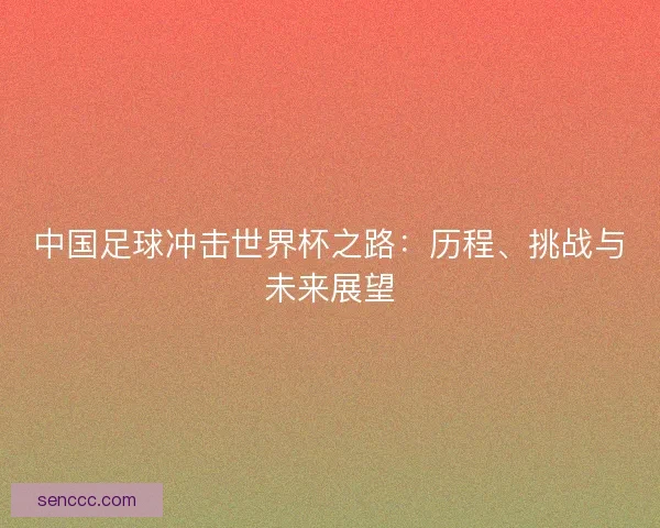 中国足球冲击世界杯之路：历程、挑战与未来展望